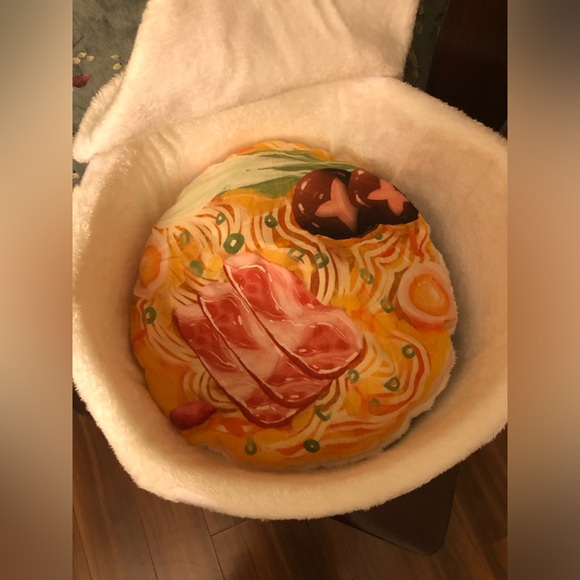 *HOST PICK*Cat Bed; 3-Pc.Set;Chinese Theme;Shell, Removable Cushion & Velcro Lid - Picture 4 of 6